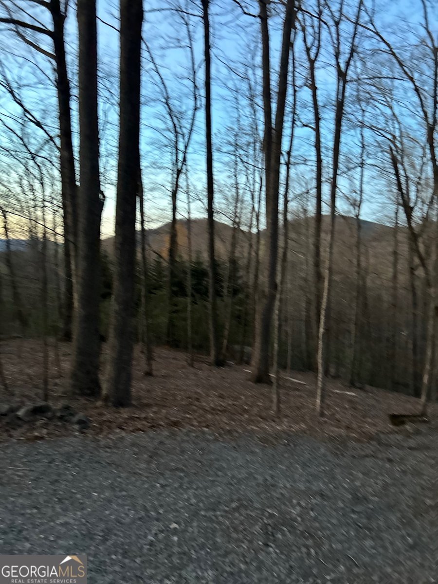 681 Skyview Drive Ellijay - Photo 28