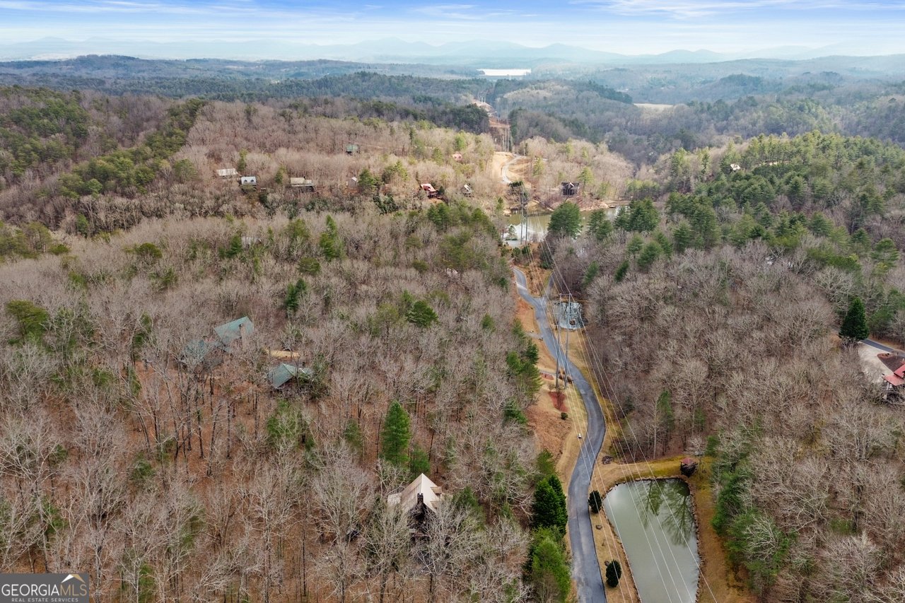 143 Kaely Drive Mineral Bluff - Photo 6