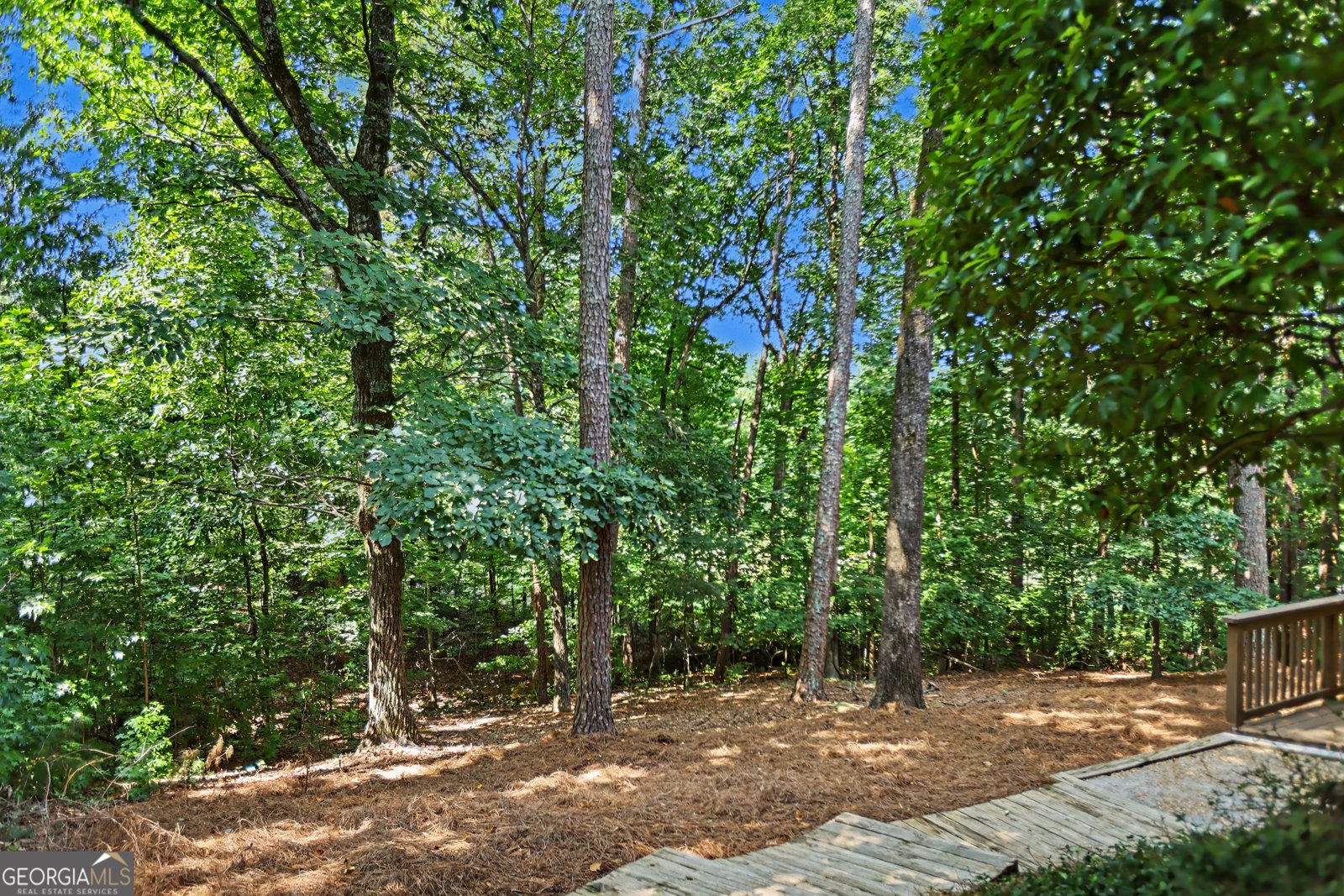 1455 Lockridge Drive Cumming - Photo 54
