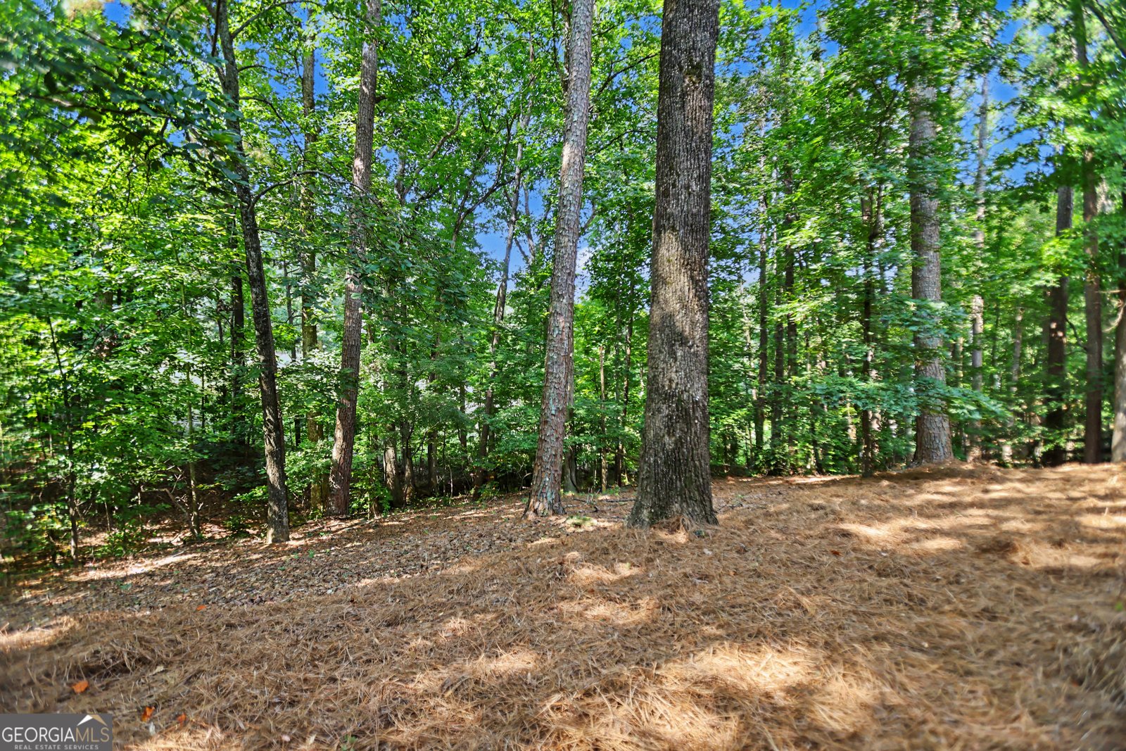 1455 Lockridge Drive Cumming - Photo 55