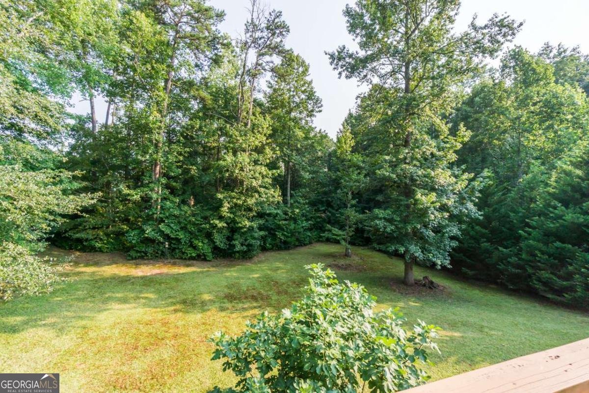 173 Stegall Place Dawsonville - Photo 28