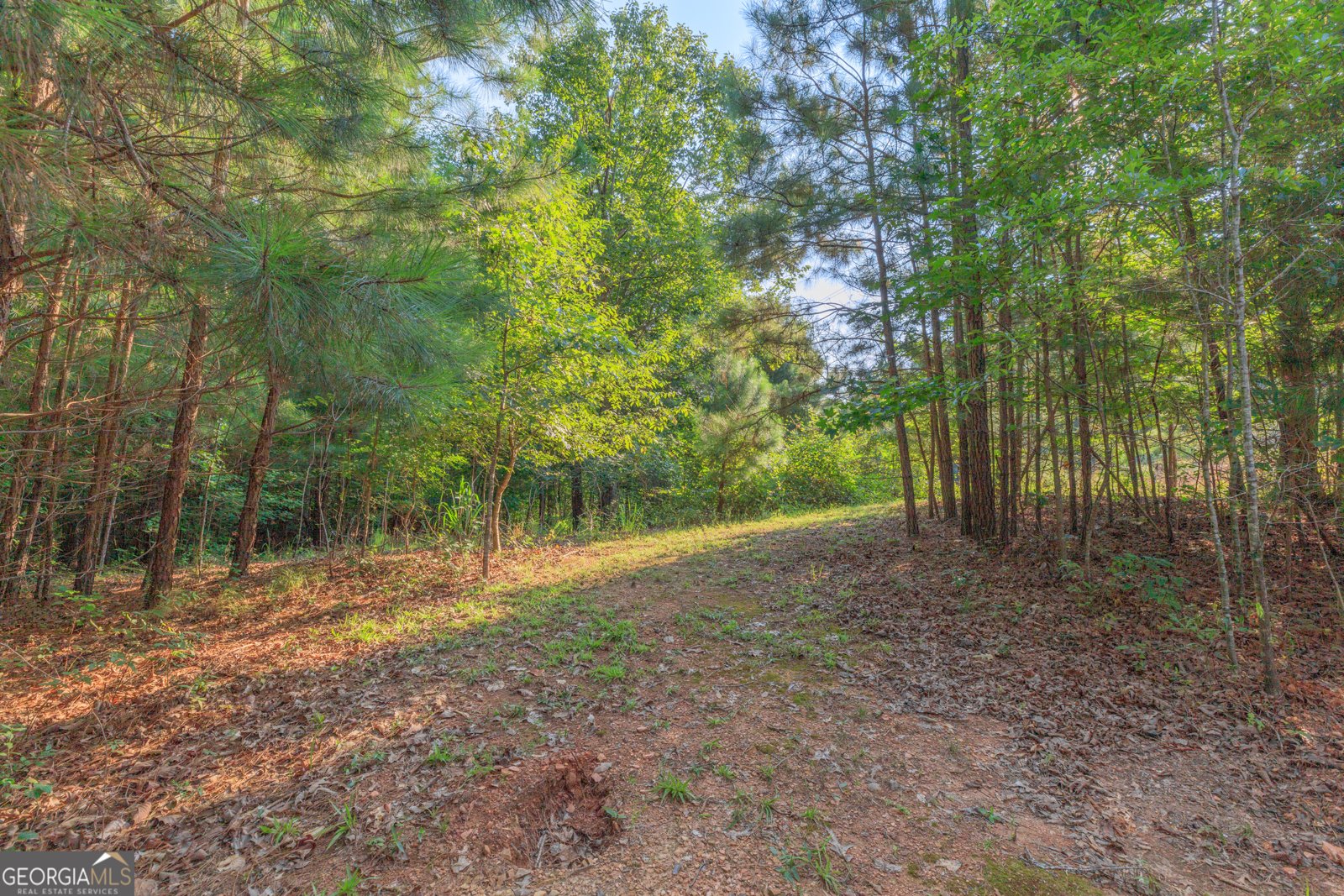2835 Riverbend Road Dalton - Photo 13