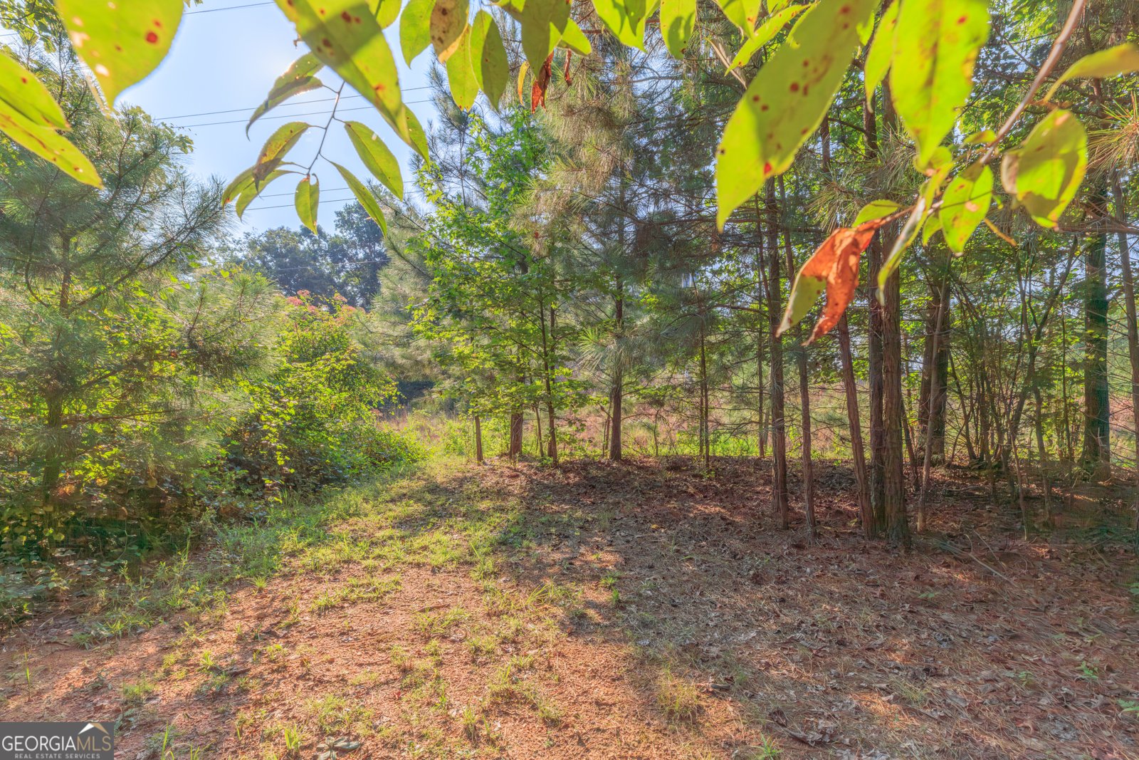 2835 Riverbend Road Dalton - Photo 15