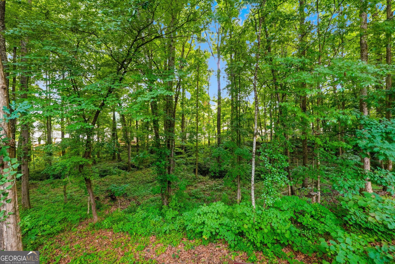 3314 Freedom Landing Kennesaw - Photo 31