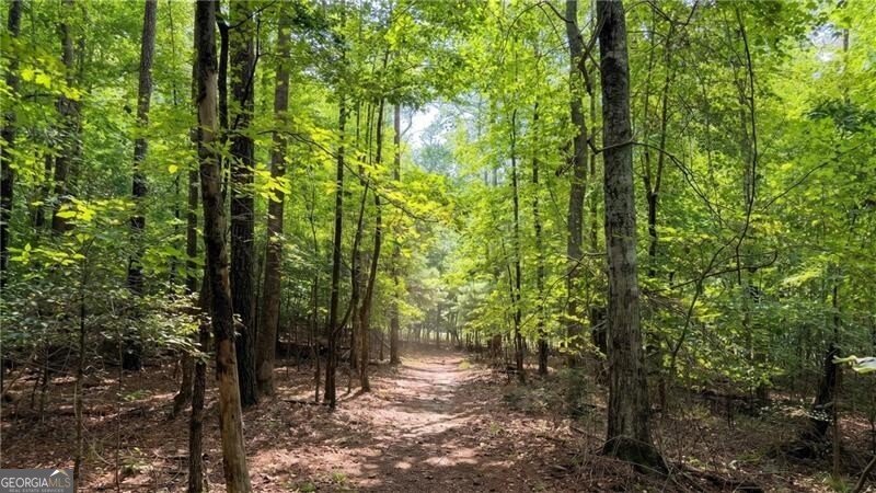 1769 Rowland Pass Buford - Photo 34