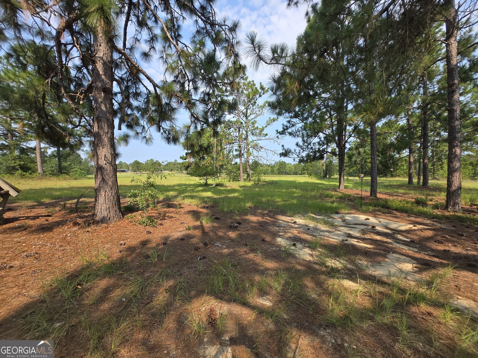 46 Tony Baker Lane Garfield - Photo 37