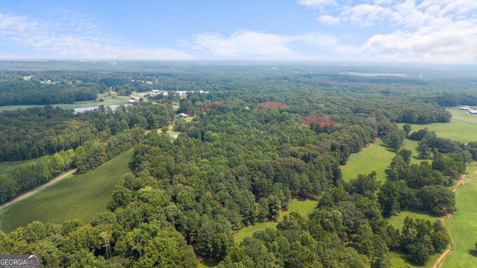 72 Providence Church Rd Roopville - Photo 49