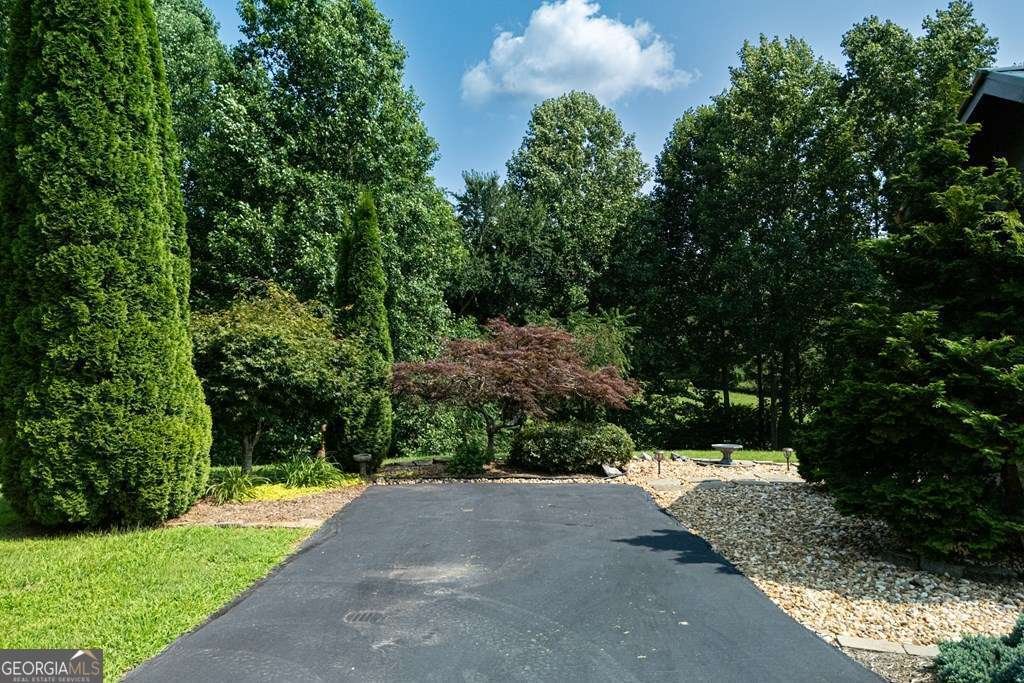 41 Wilderness Court Blairsville - Photo 7