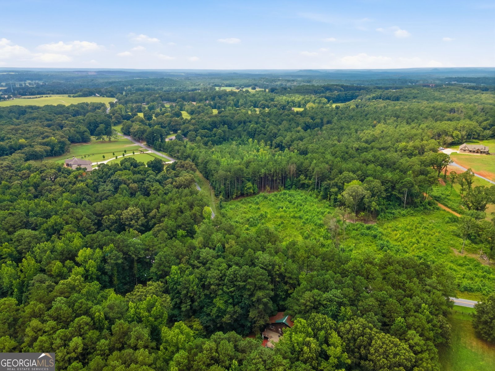 242 Pine Pitch Road Cedartown - Photo 37