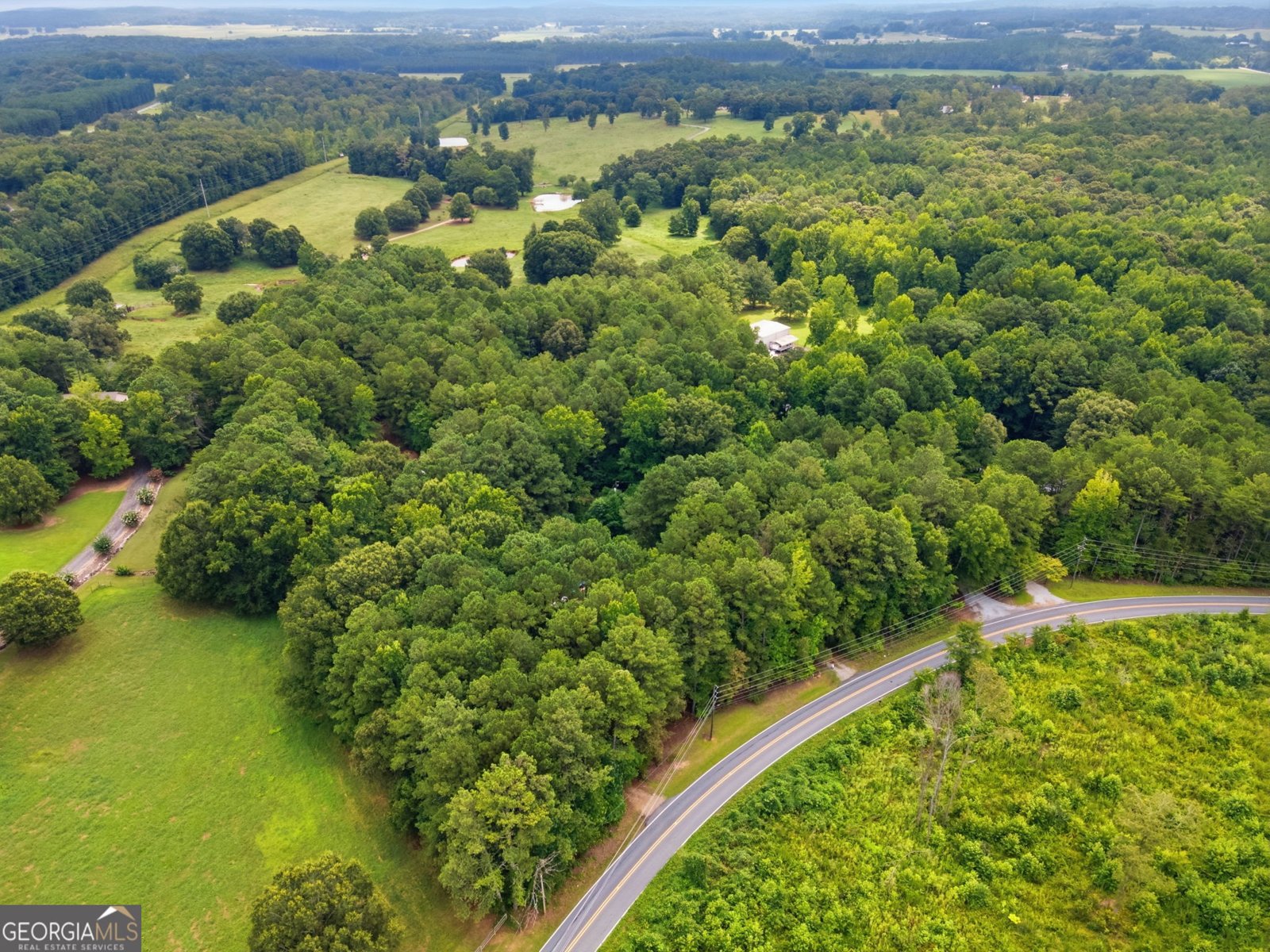 242 Pine Pitch Road Cedartown - Photo 39