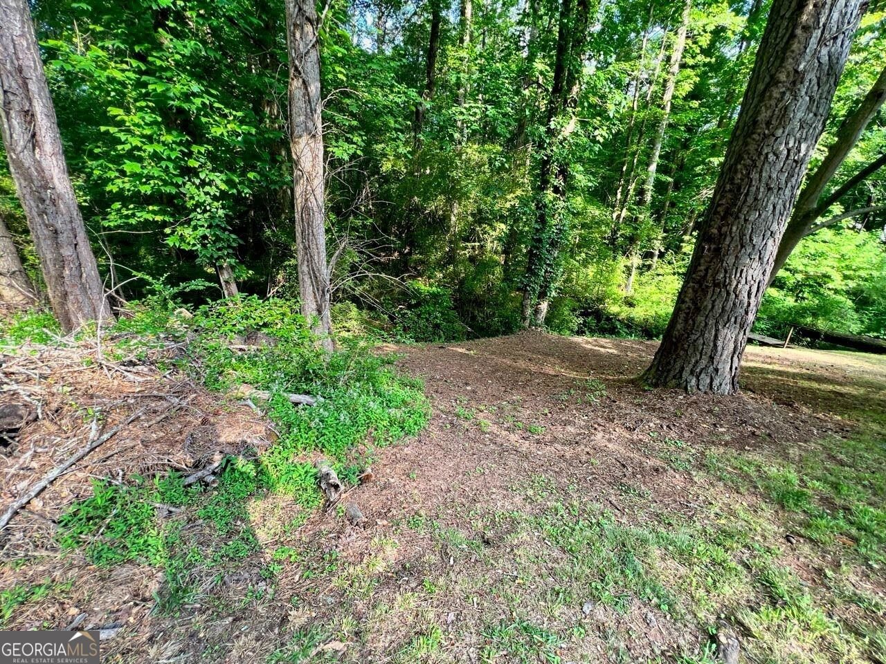 133 Ashling Drive Lagrange - Photo 50
