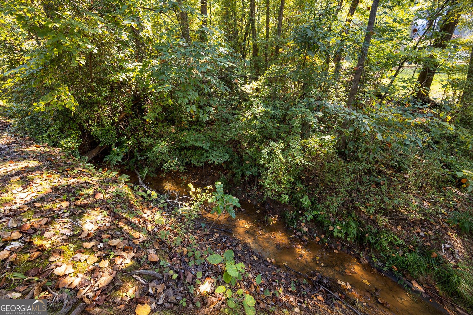 133 Ashling Drive Lagrange - Photo 74