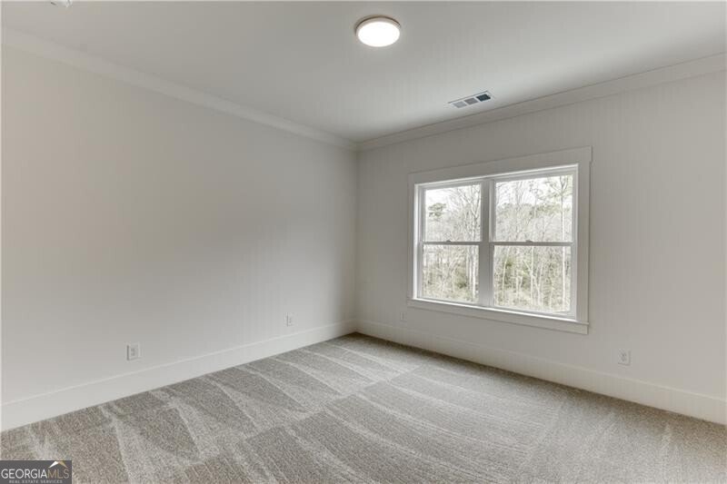 128 Ivey Trace Court Pendergrass - Photo 39
