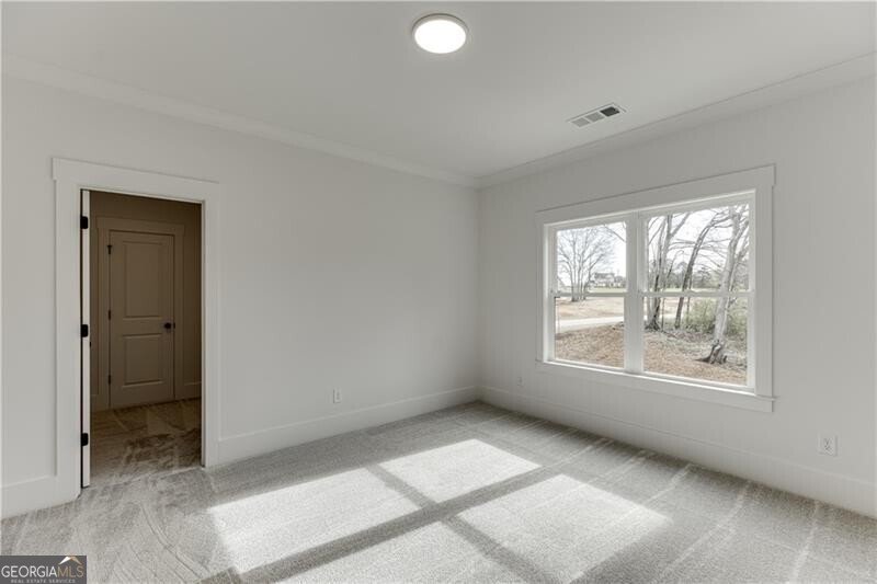 128 Ivey Trace Court Pendergrass - Photo 43