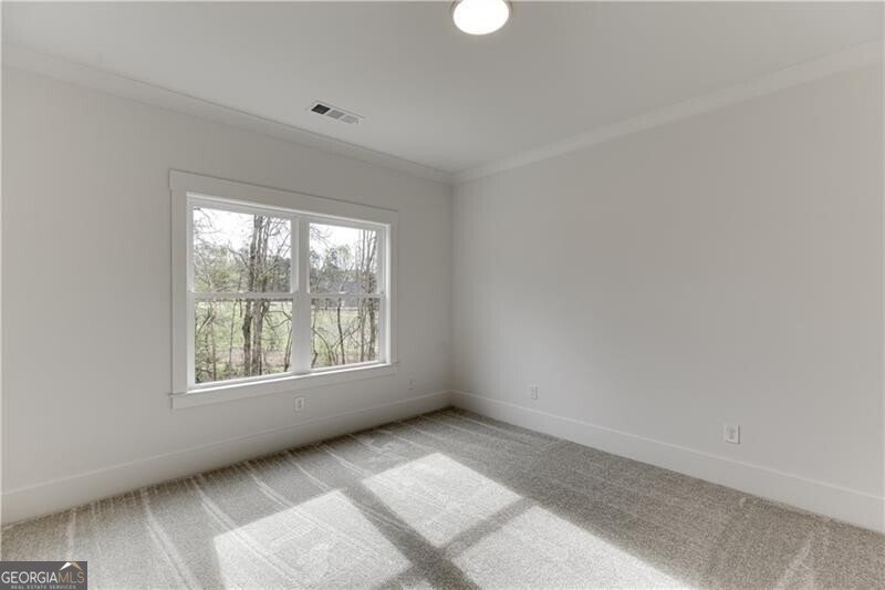 128 Ivey Trace Court Pendergrass - Photo 45
