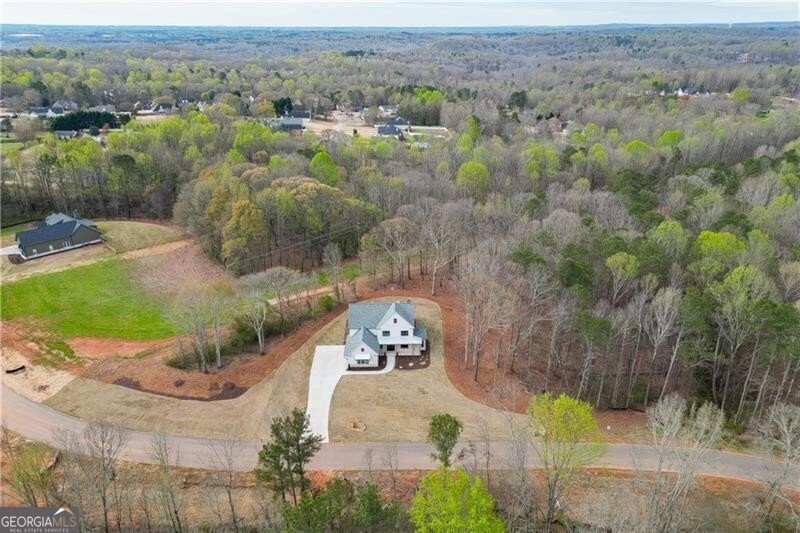 128 Ivey Trace Court Pendergrass - Photo 56