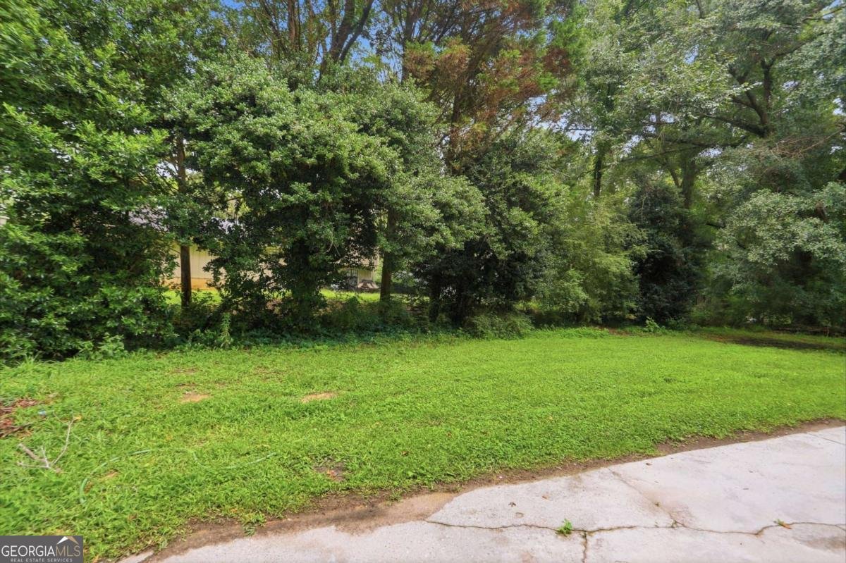 6488 Edenfield Drive Lithonia - Photo 32