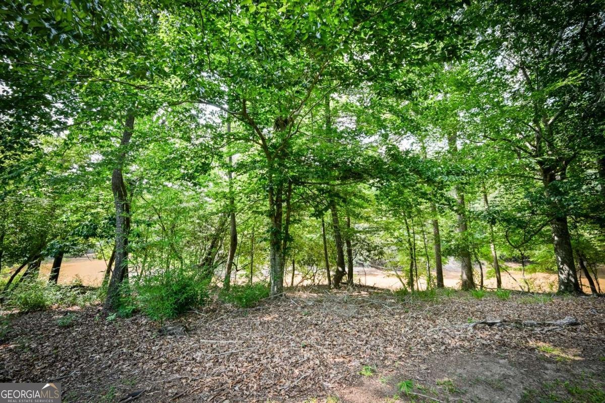 1261 Brittain Estates Drive Watkinsville - Photo 14