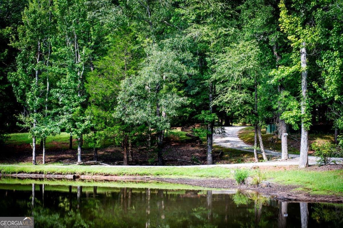 1261 Brittain Estates Drive Watkinsville - Photo 6
