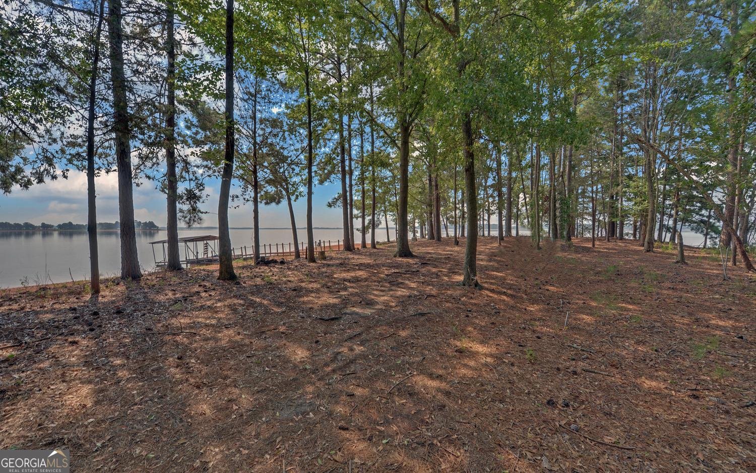 148 Brown Circle Hartwell - Photo 46