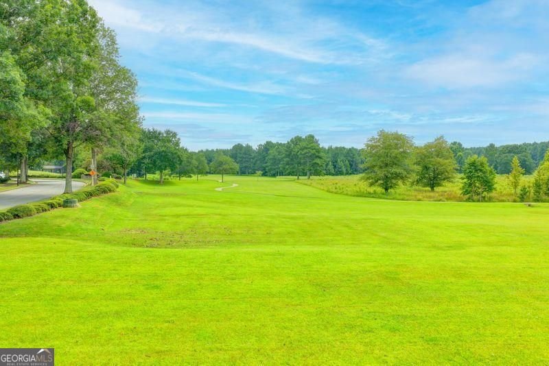 4825 Meadow Park Lane Suwanee - Photo 106