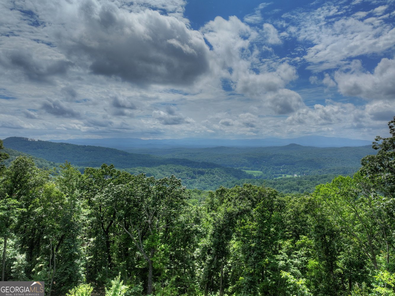 401 Kittatinny Drive Mineral Bluff - Photo 42