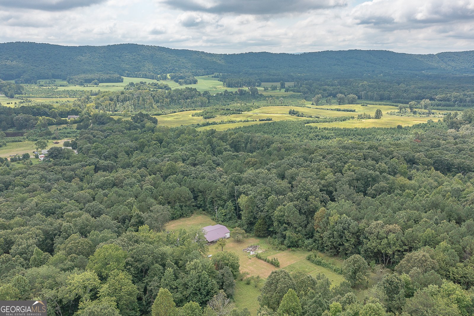 368 Blueberry Ridge Road LaFayette - Photo 11
