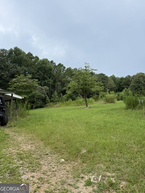 368 Blueberry Ridge Road LaFayette - Photo 7