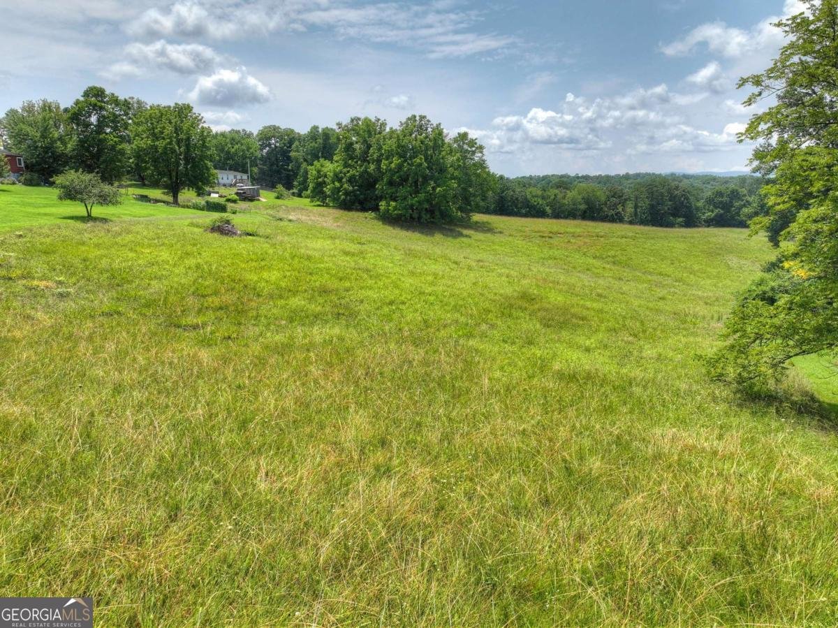 210 Lavista Drive Blue Ridge - Photo 37