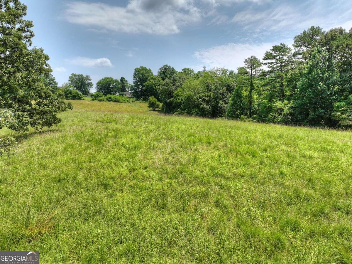 210 Lavista Drive Blue Ridge - Photo 38