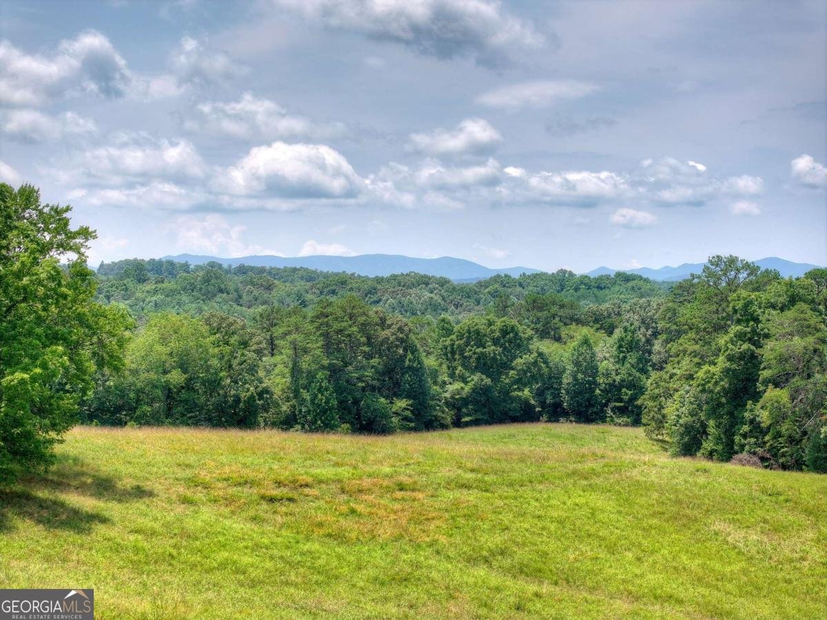 210 Lavista Drive Blue Ridge - Photo 40