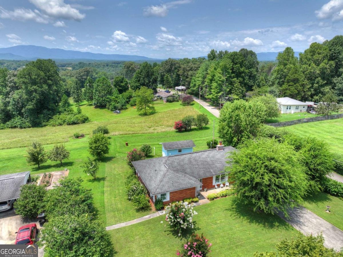 210 Lavista Drive Blue Ridge - Photo 44
