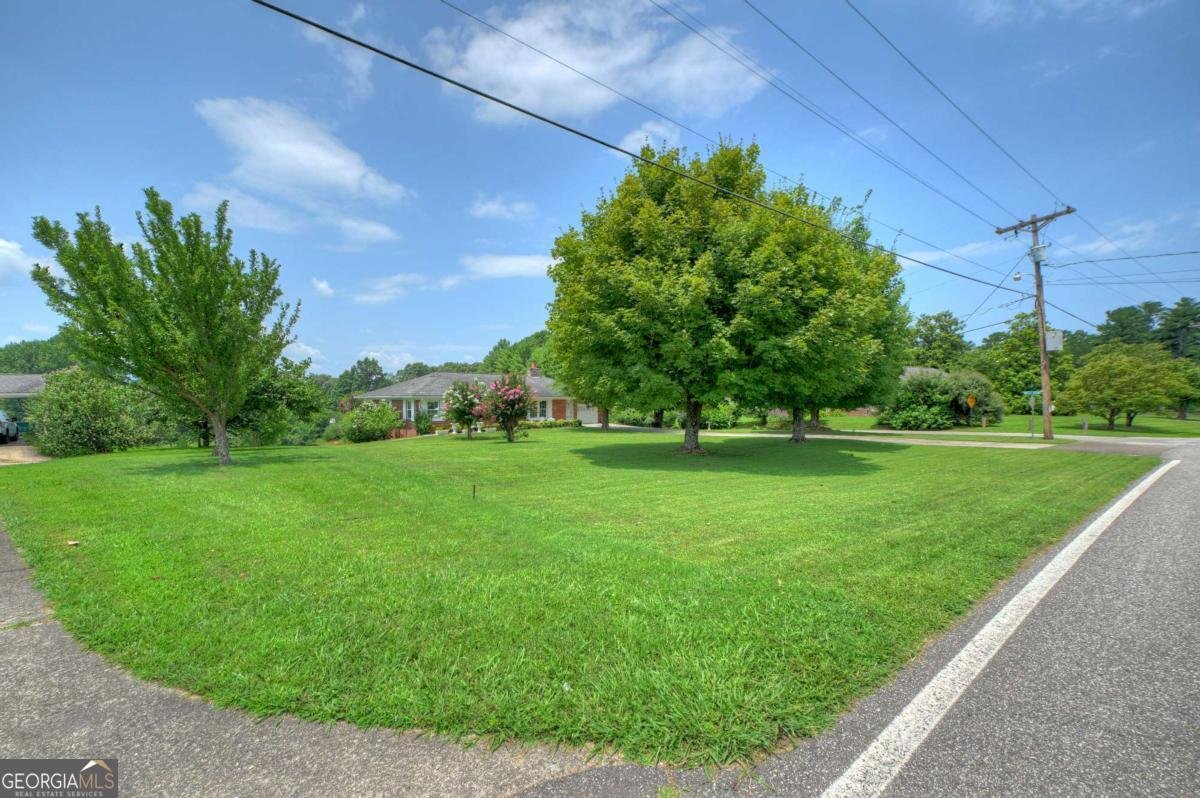 210 Lavista Drive Blue Ridge - Photo 47