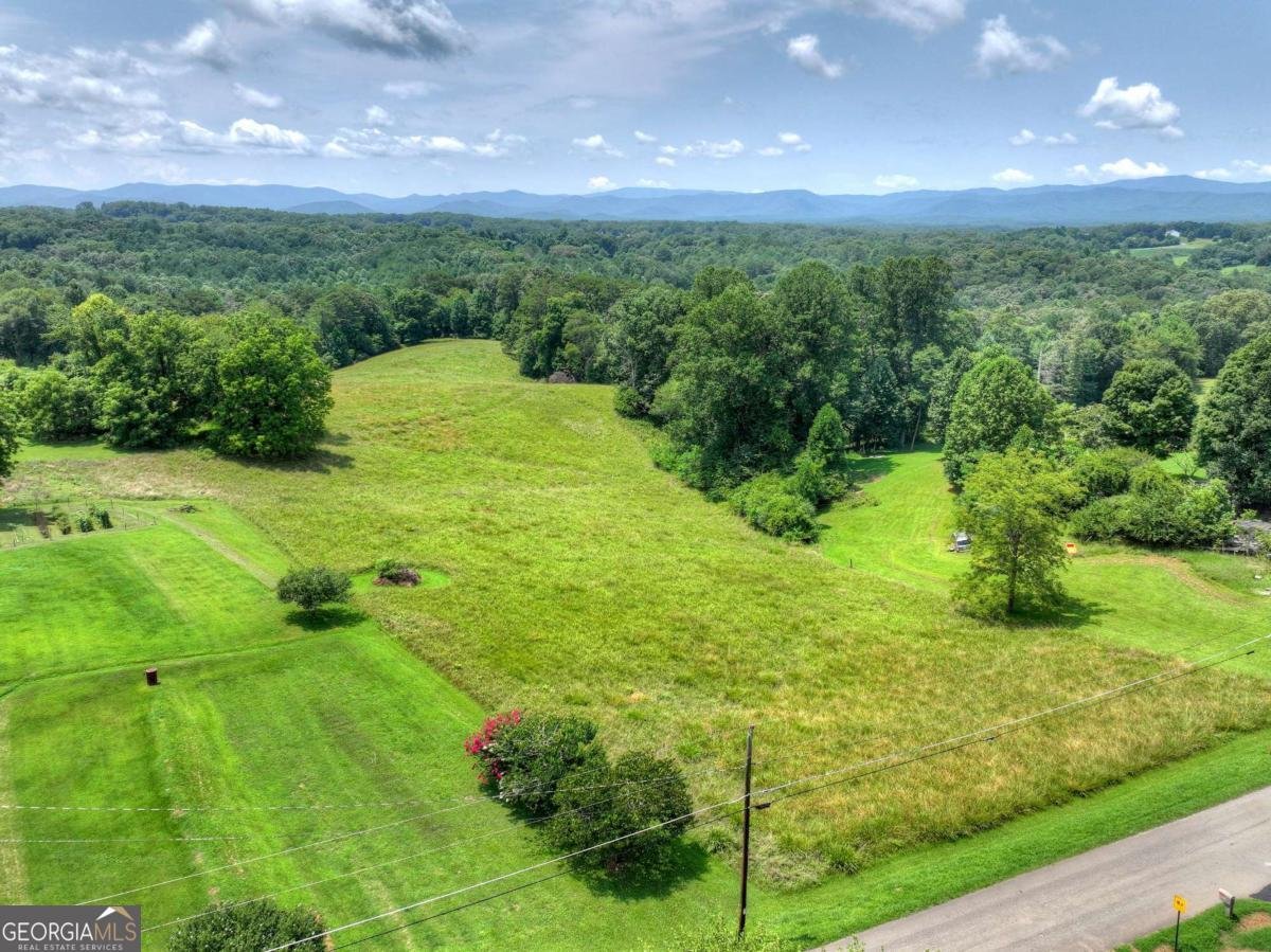 210 Lavista Drive Blue Ridge - Photo 48