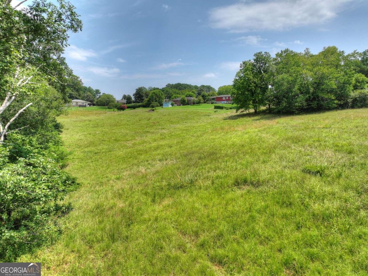 210 Lavista Drive Blue Ridge - Photo 49