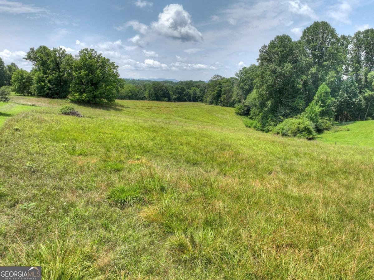 210 Lavista Drive Blue Ridge - Photo 50