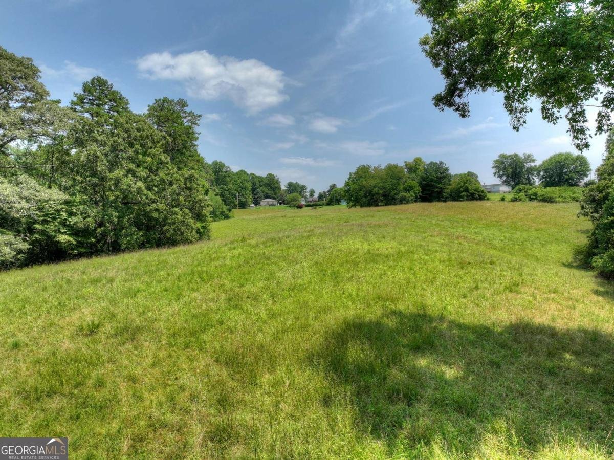 210 Lavista Drive Blue Ridge - Photo 51