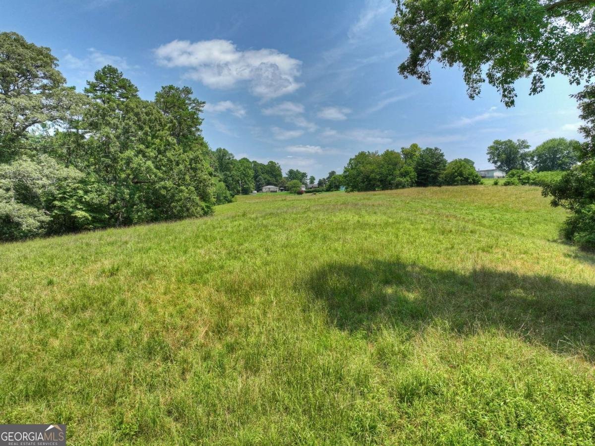 210 Lavista Drive Blue Ridge - Photo 52