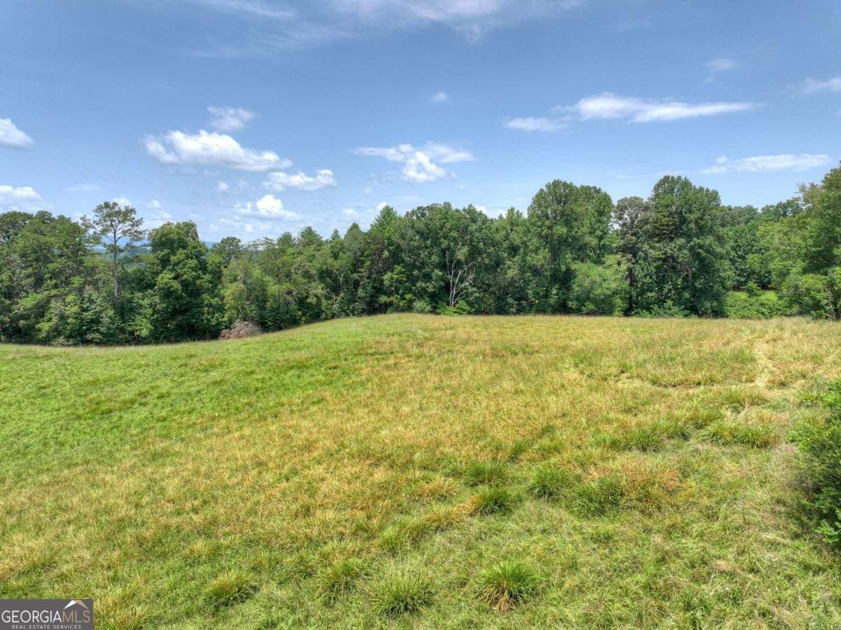 210 Lavista Drive Blue Ridge - Photo 53