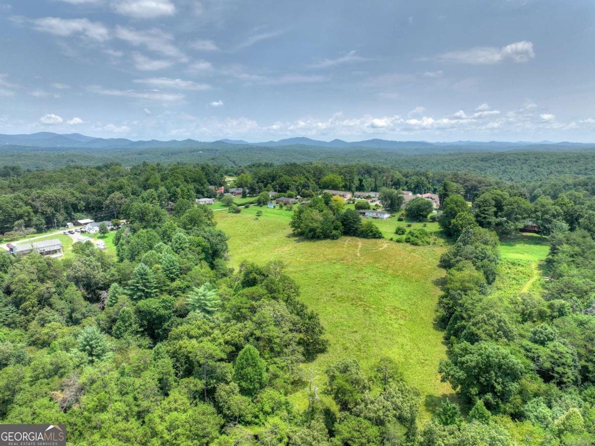 210 Lavista Drive Blue Ridge - Photo 54