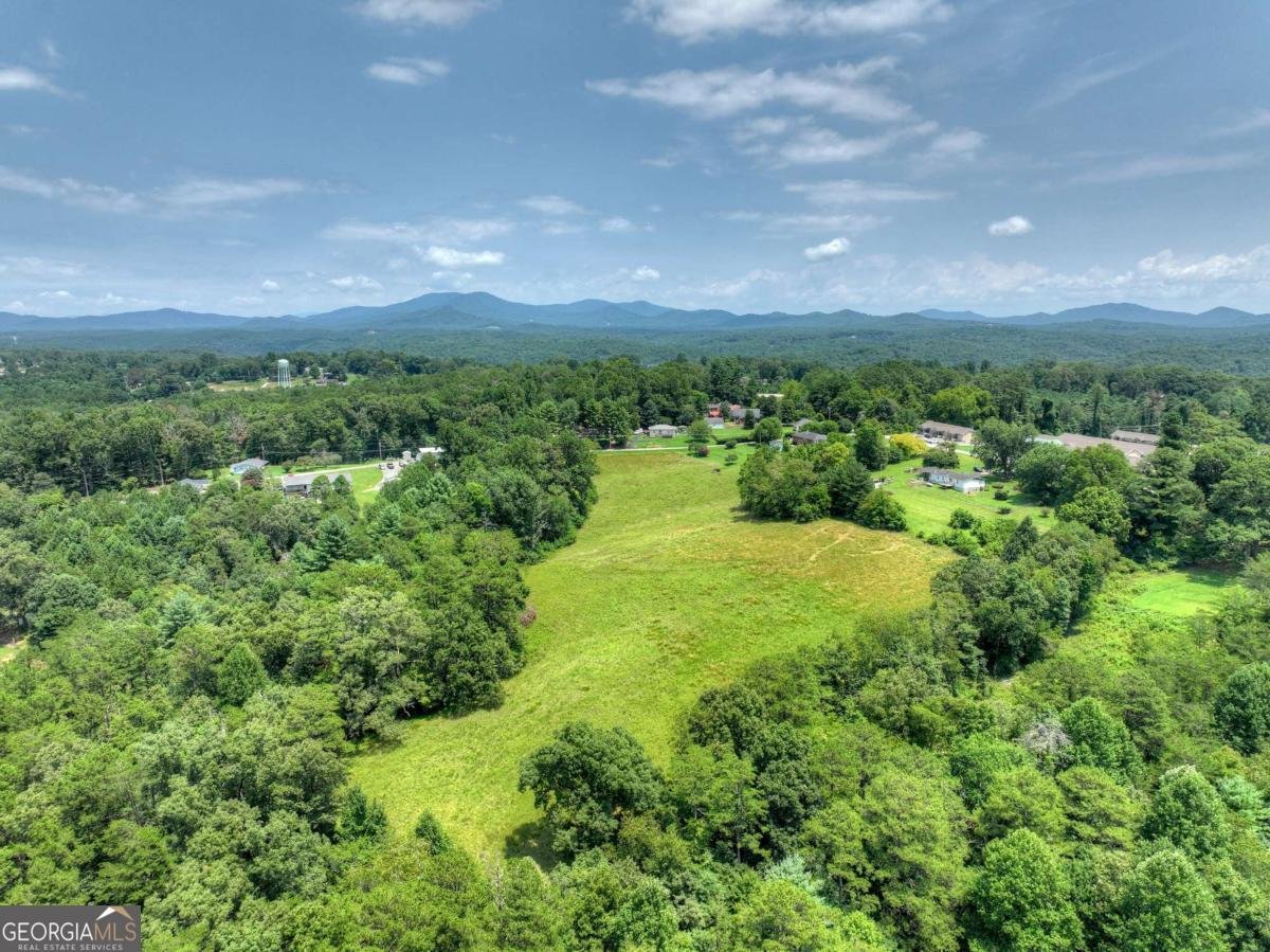 210 Lavista Drive Blue Ridge - Photo 55