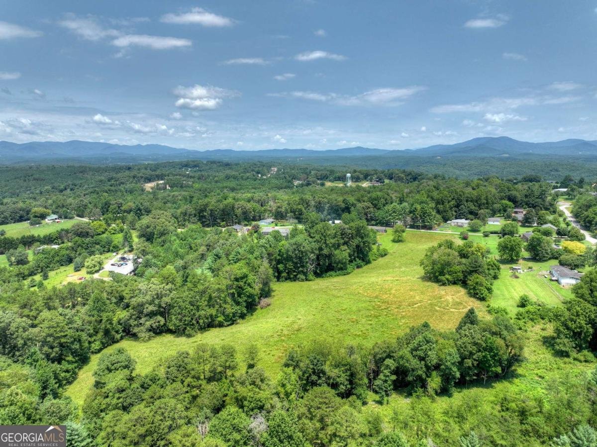 210 Lavista Drive Blue Ridge - Photo 56