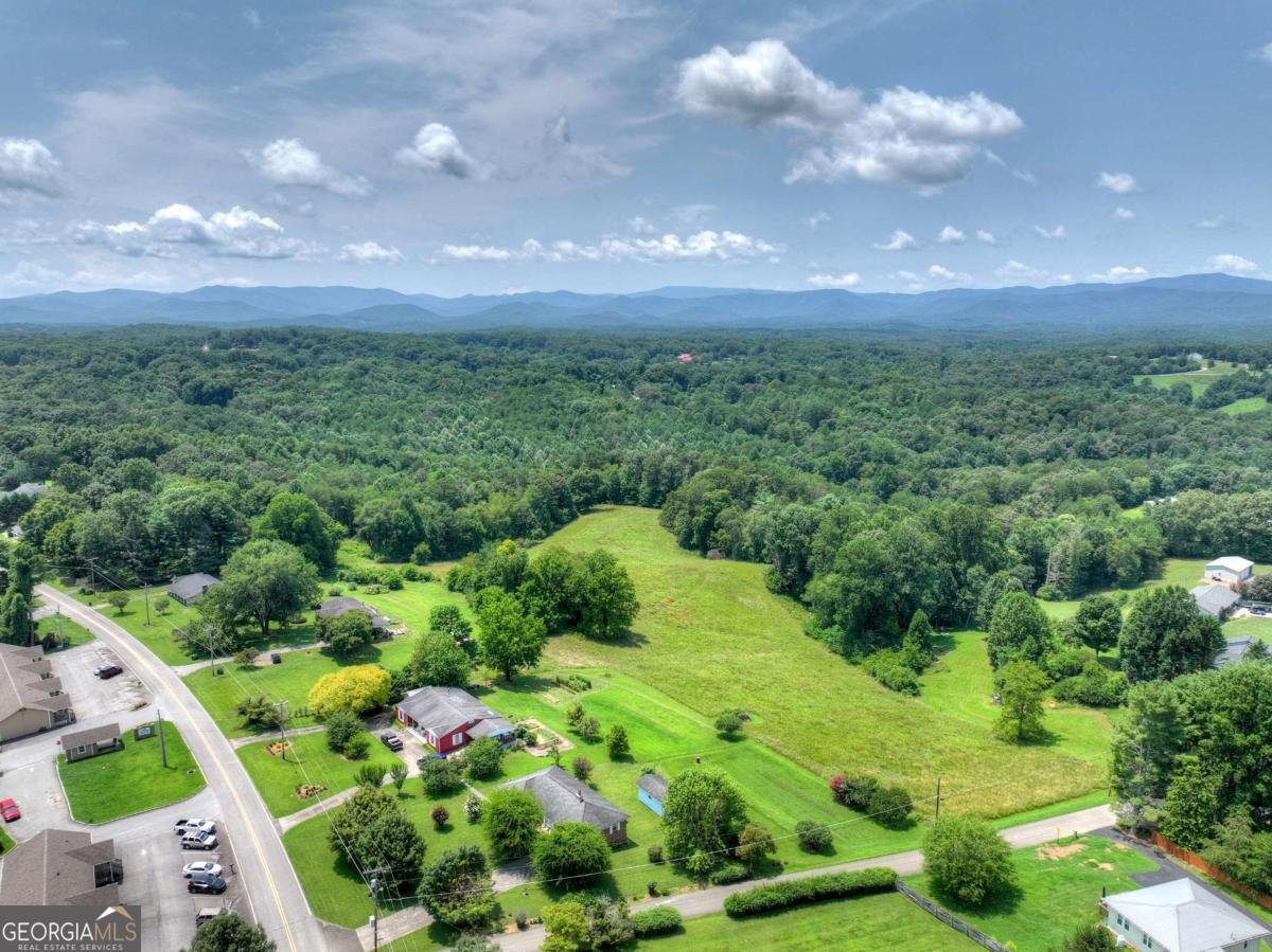 210 Lavista Drive Blue Ridge - Photo 57