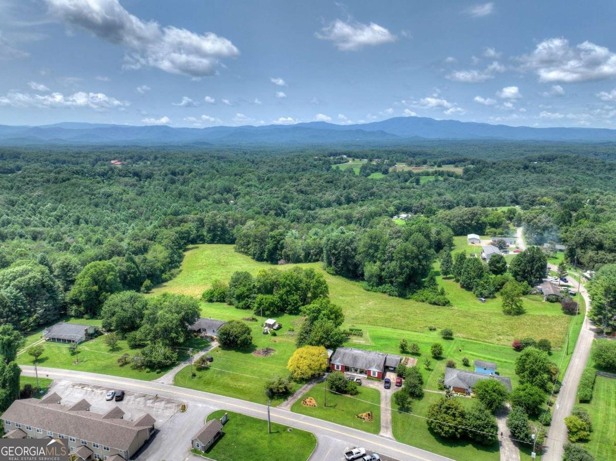210 Lavista Drive Blue Ridge - Photo 58