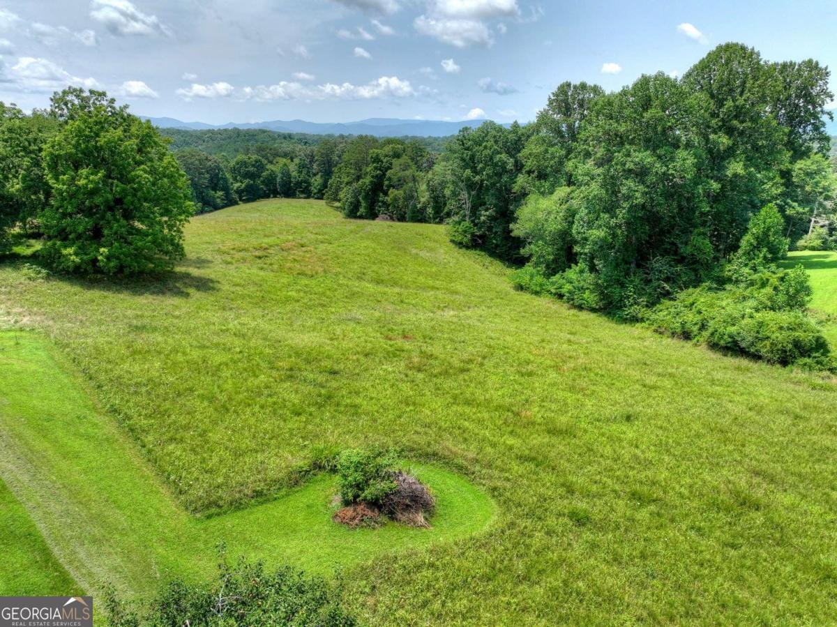 210 Lavista Drive Blue Ridge - Photo 6