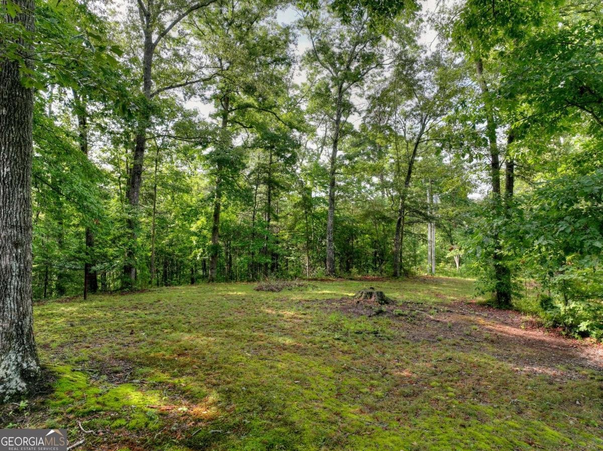 387 Ruby Lane Mineral Bluff - Photo 57