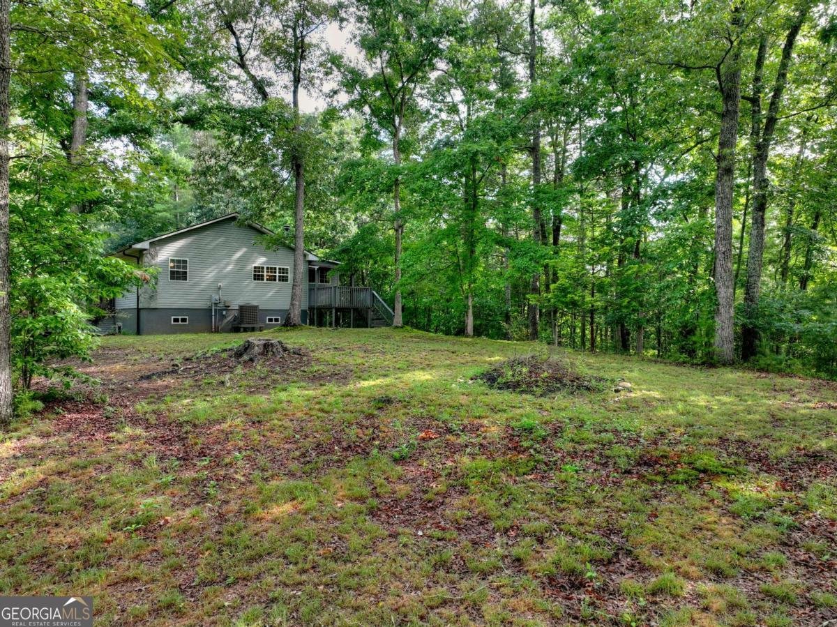 387 Ruby Lane Mineral Bluff - Photo 59