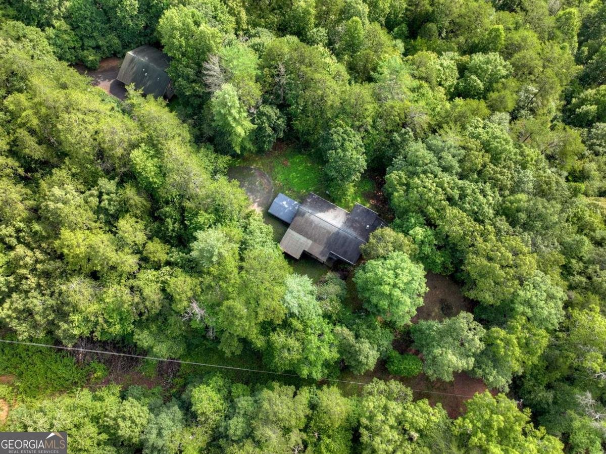 387 Ruby Lane Mineral Bluff - Photo 61