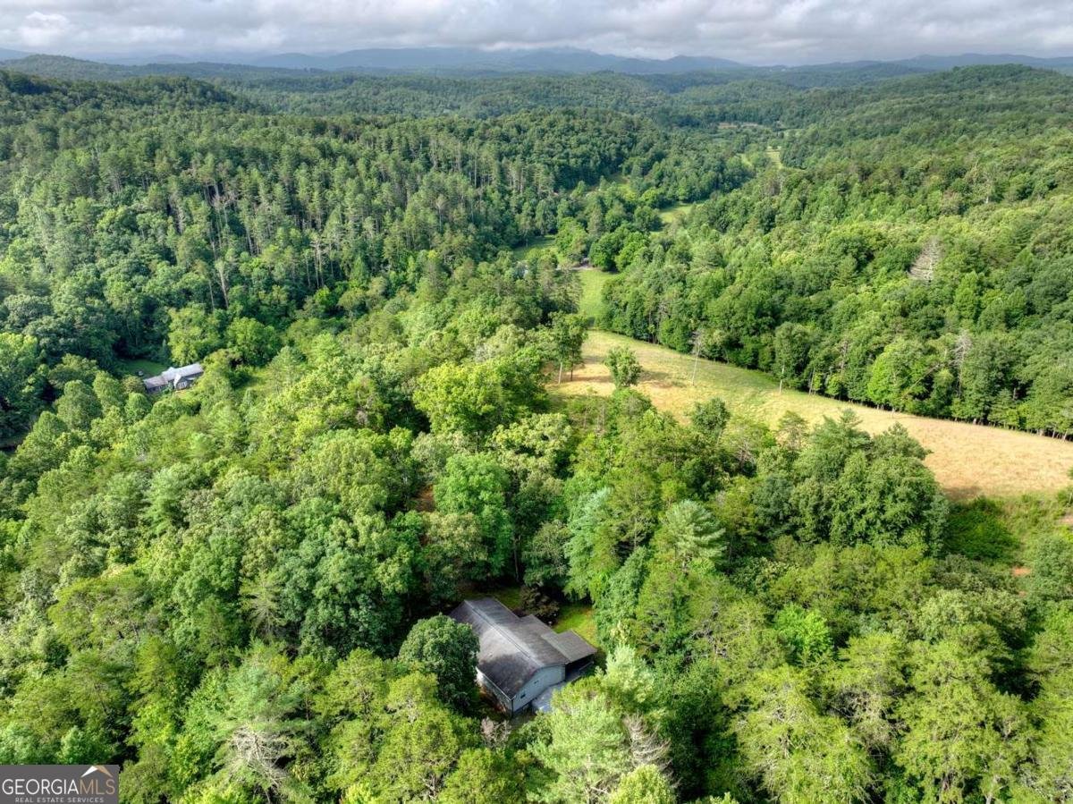 387 Ruby Lane Mineral Bluff - Photo 64