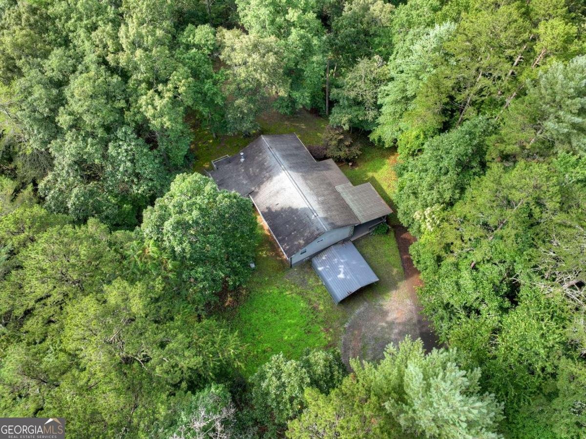 387 Ruby Lane Mineral Bluff - Photo 65